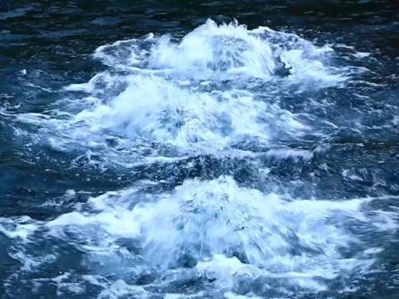 济南为保护趵突泉，1天多的时间内引来了五万立方的黄河水