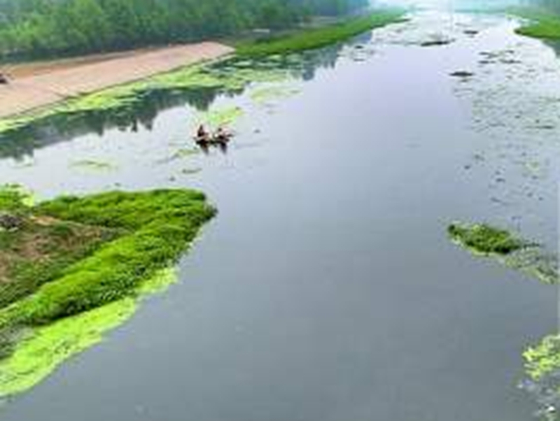 郑州市贾鲁河水遭受比较严重环境污染，每天近二十吨污水排进