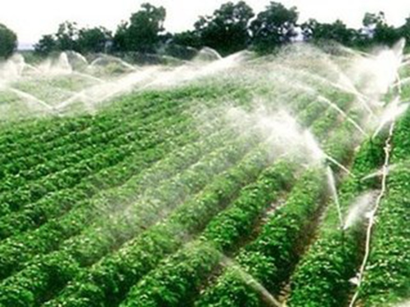 河北农田灌溉水系数达到0.65