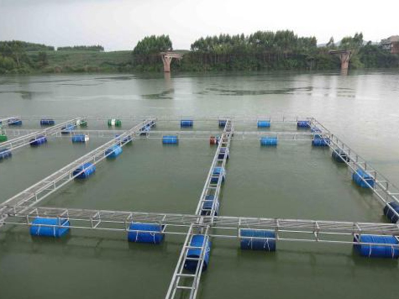 中国中部水产养殖业遭遇着残酷的现实