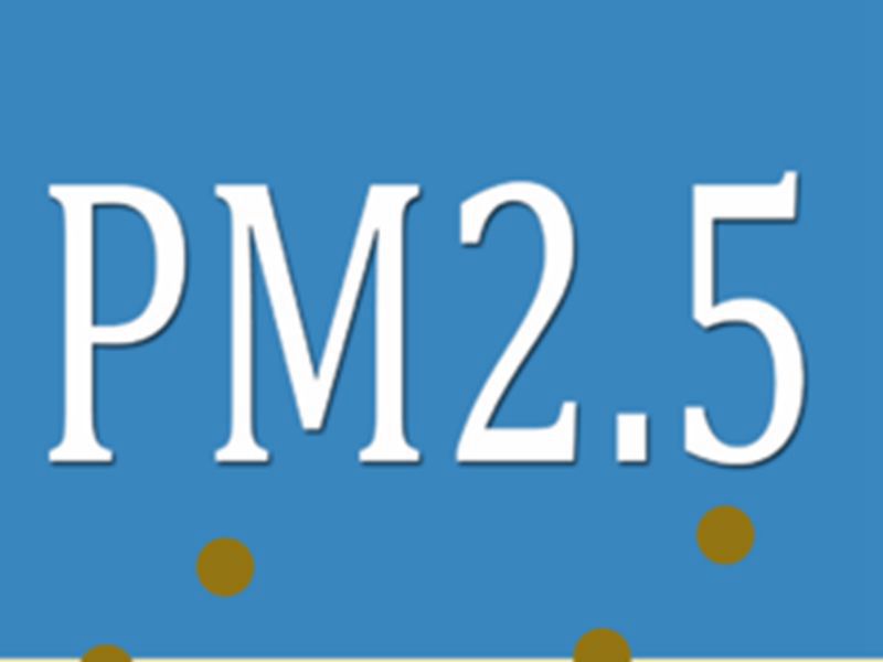 中国可能出現PM2.5检查仪销售市场？
