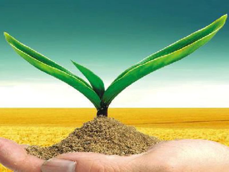 面对困境和挑戰，化肥企业是怎样解决的？